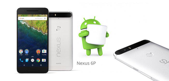Nexus 5X (2)