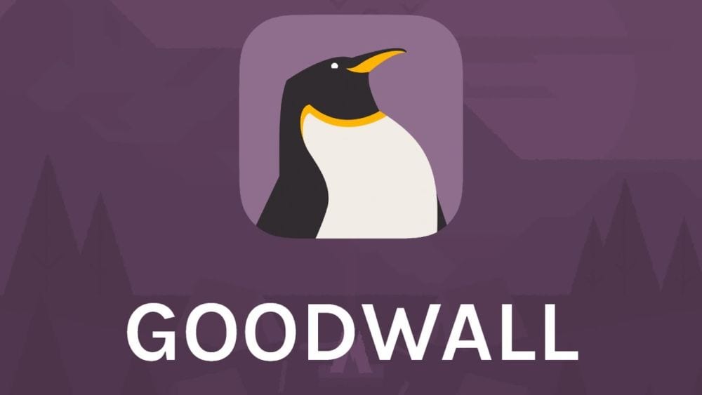 GoodWall ofrece una innovadora manera de aprendizaje para los jóvenes